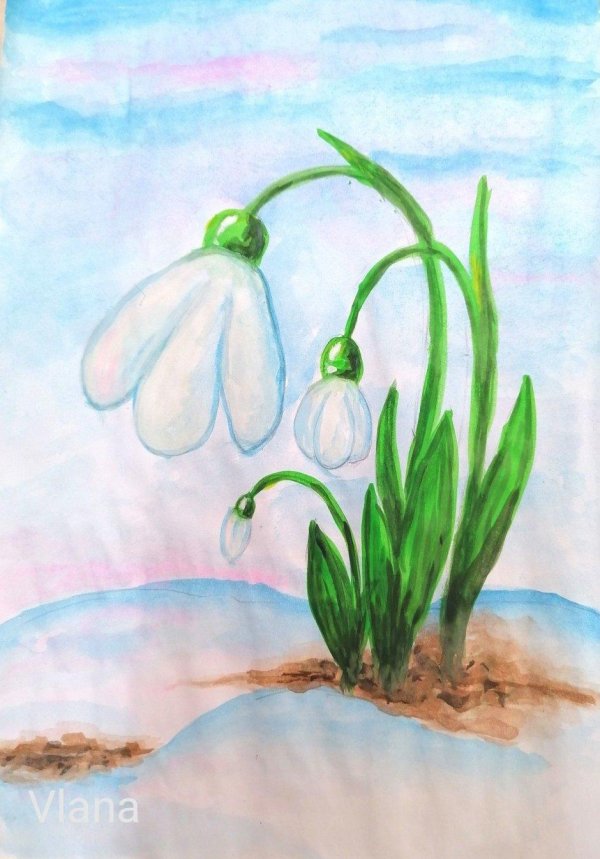 подснежники рисунки
