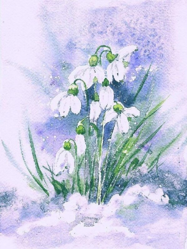 терра фьорри подснежники