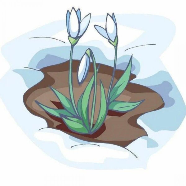 подснежник мультяшное