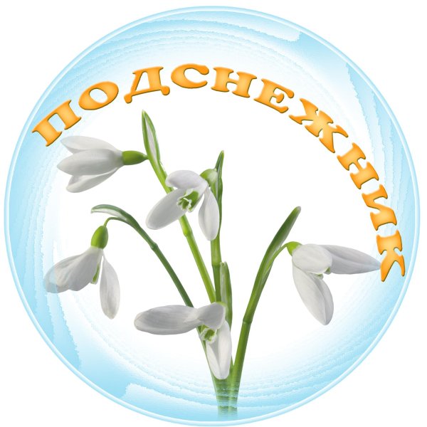 детский сад подснежник