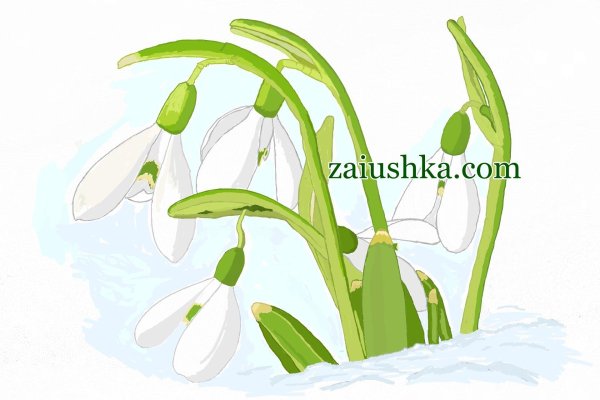 подснежники клипарт