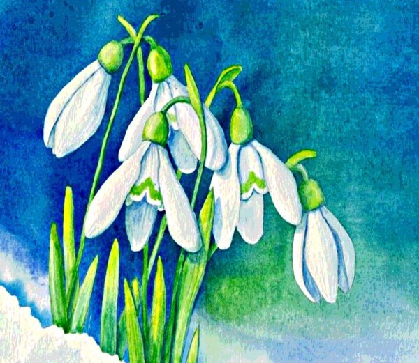 подснежники гуашью