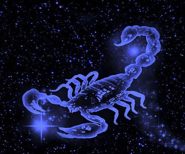 для скорпиона