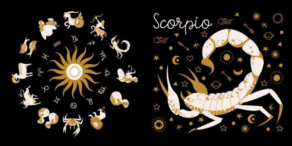 лев знак зодиак