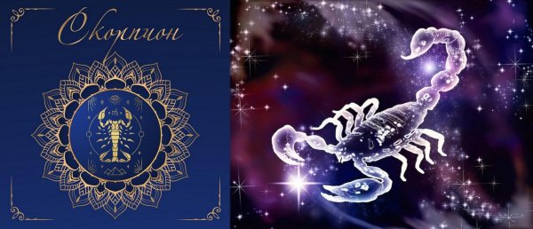 гороскоп скорпион