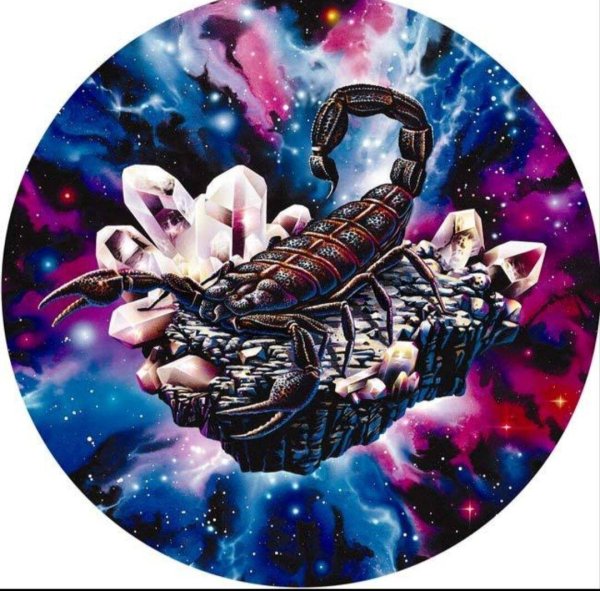 зодия скорпион