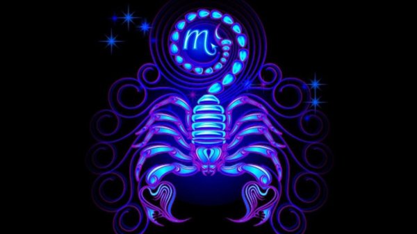 для скорпиона