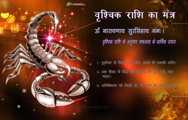 для скорпиона