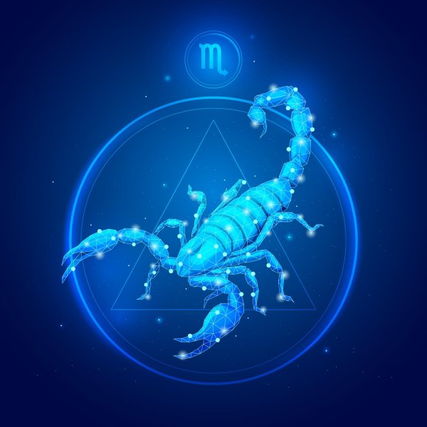скорпион зодиак