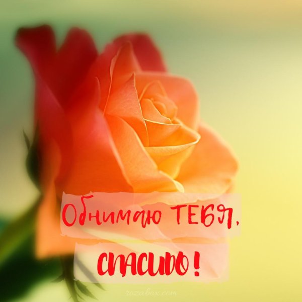 открытки взаимно благодарю