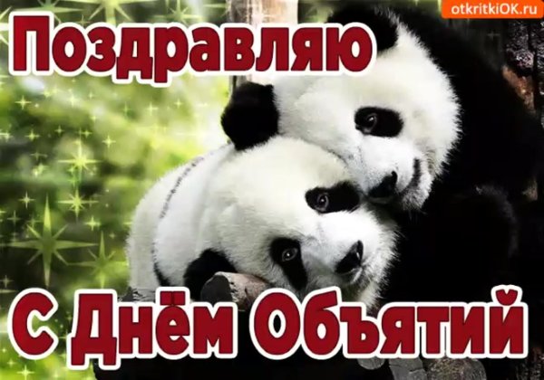 панды обнимаются