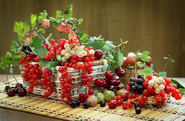 красная смородина