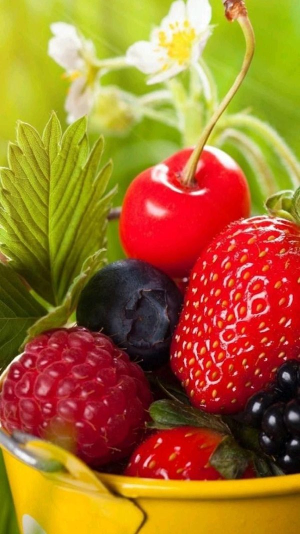 лето ягоды