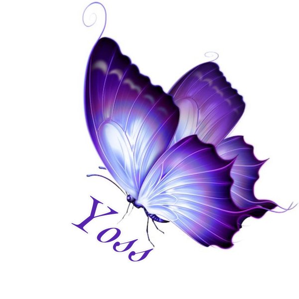 абстракт бабочка