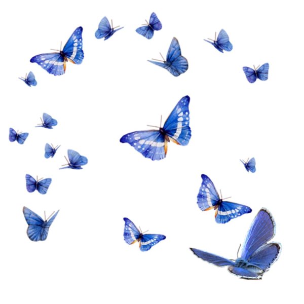 много бабочек на прозрачном фоне