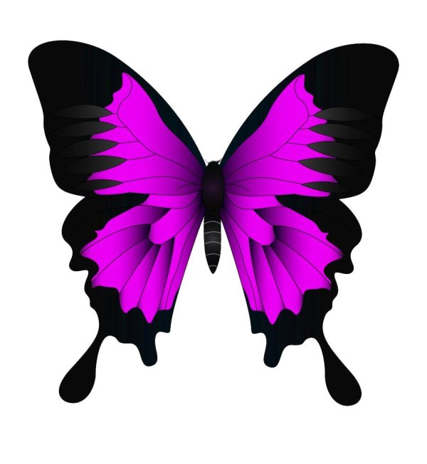 бабочки фиолетовые для печати