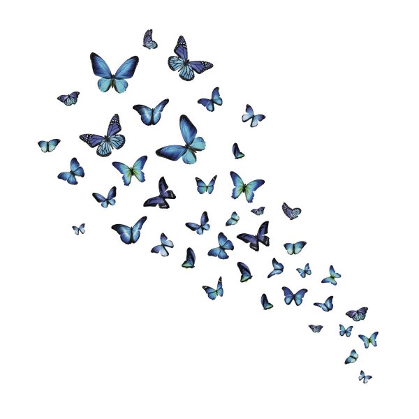 бабочки летят