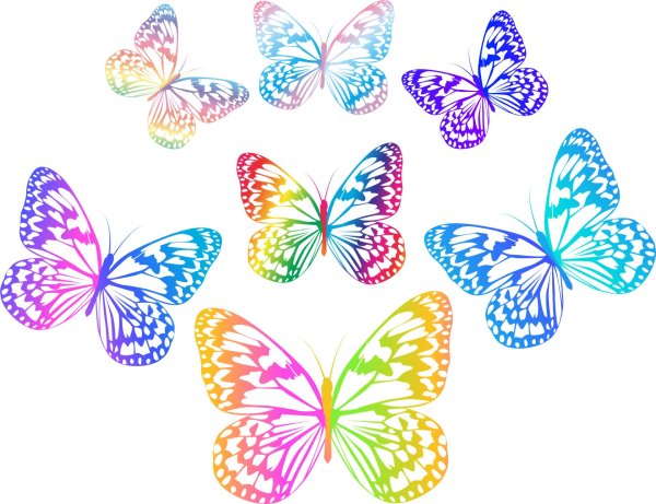 бабочки для оформления