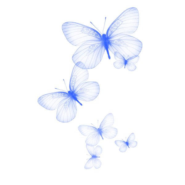 прозрачная бабочка