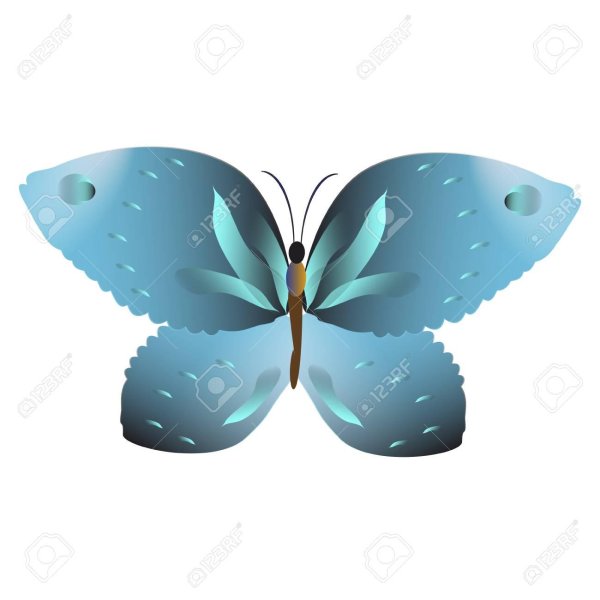 цветная бабочка