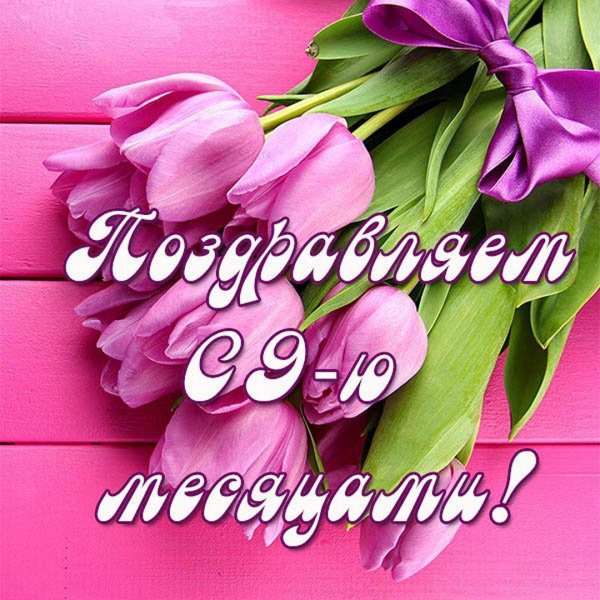 открытки с тюльпанами