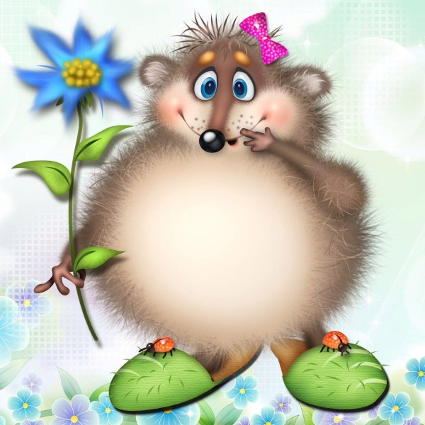 прикольный ежик