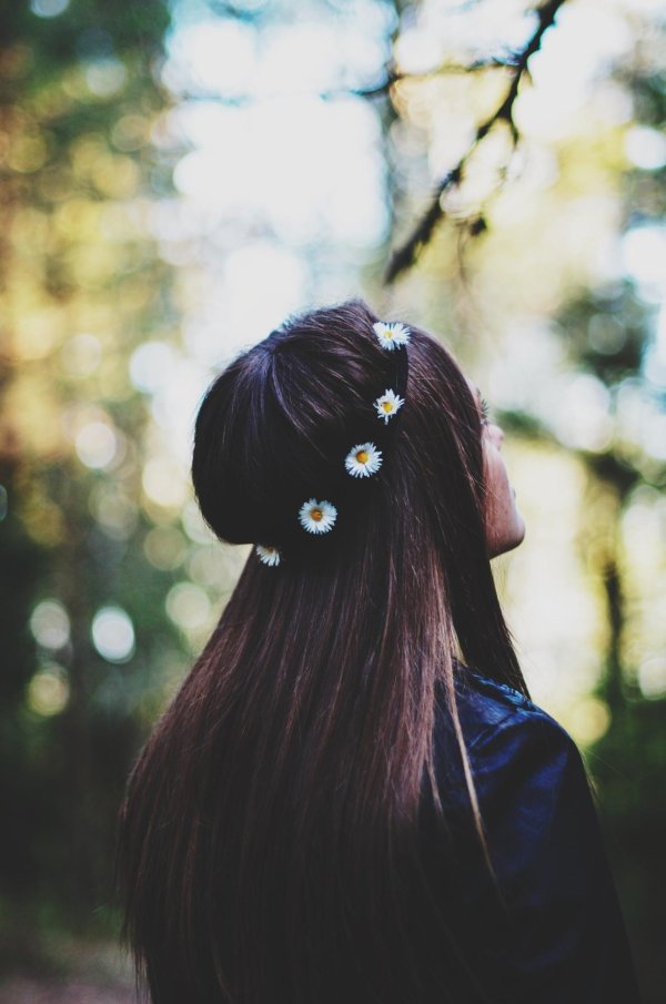 цветы волос