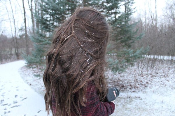 волосы зимой