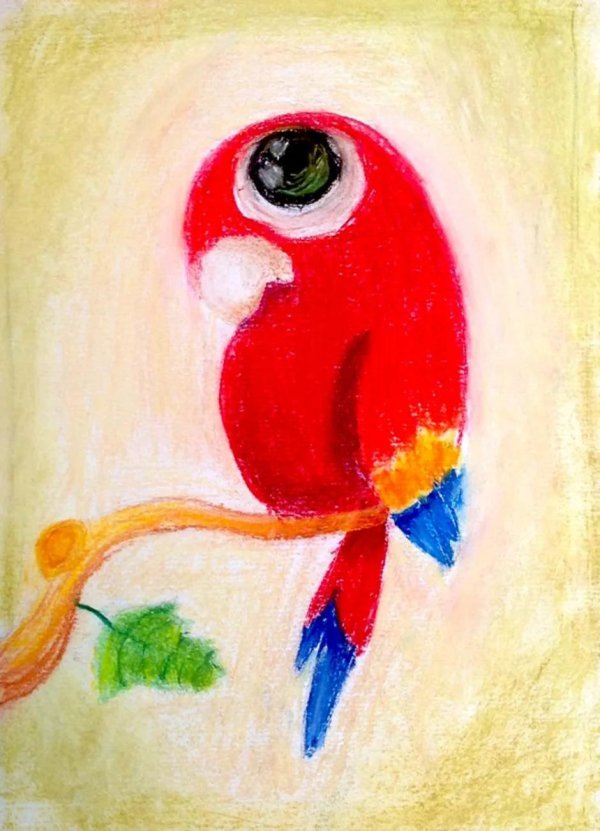 рисование попугаев красками