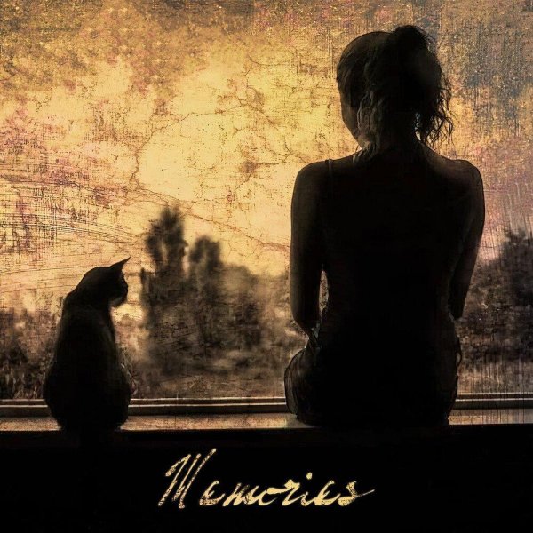 девушки с кошками