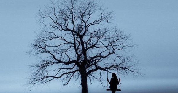 одинокое дерево