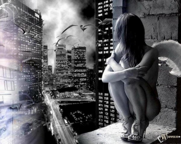 ангел сидит