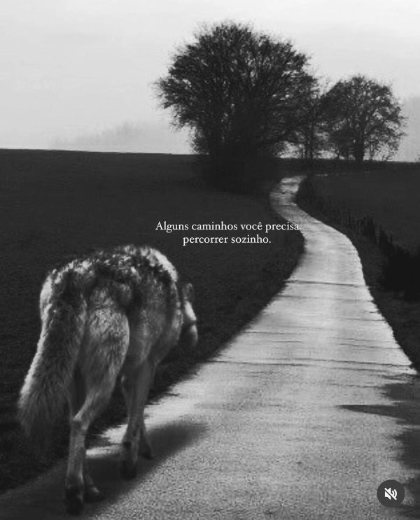 одиноки волк