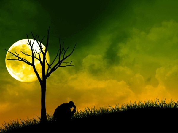 ночь природа