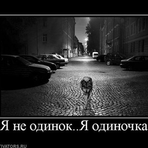 я одиночка