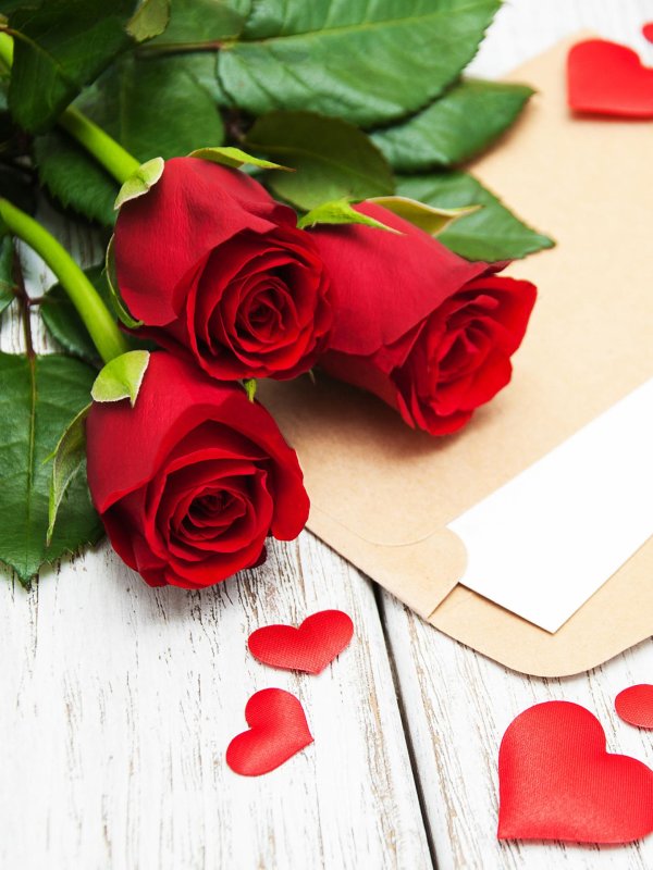 красная роза