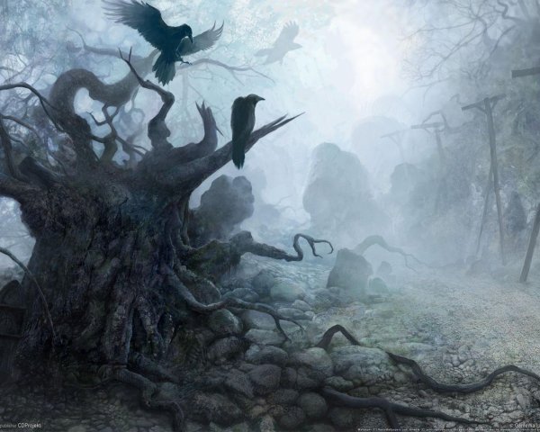 ведьмин лес