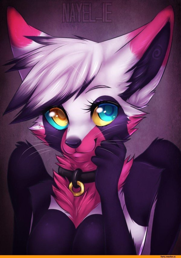 няшные фурри