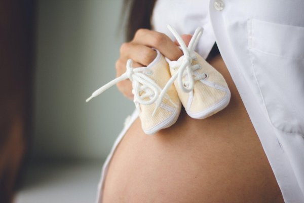 беременные животики