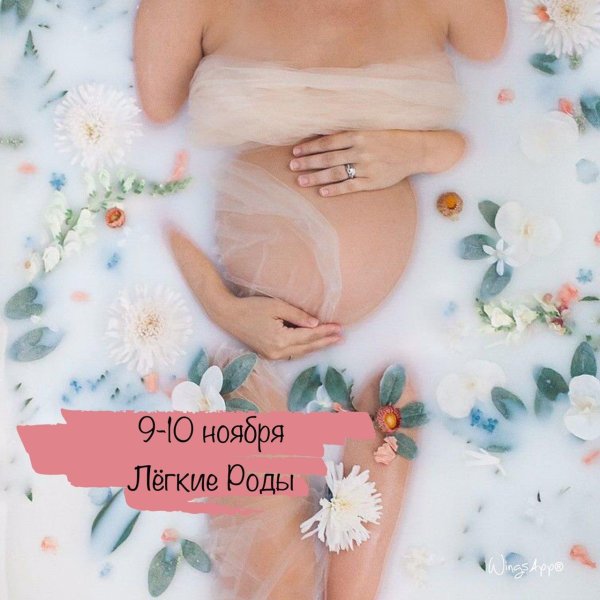 фотосессии для беременных