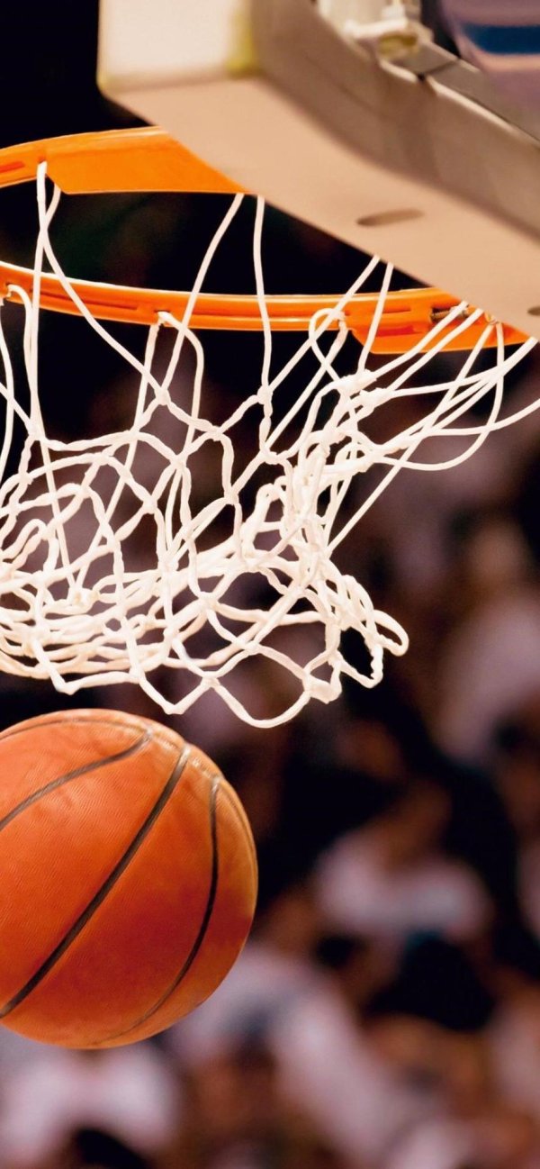 бол бол баскетболист