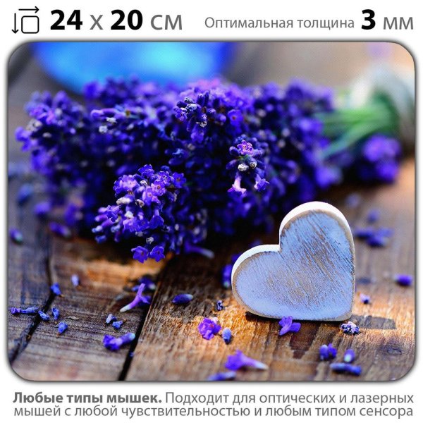 лавандовое поле