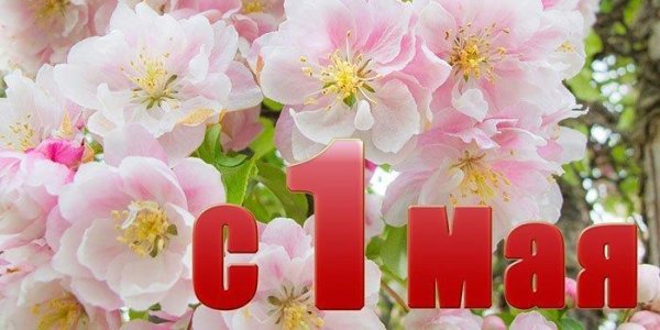 праздником весны и труда открытки