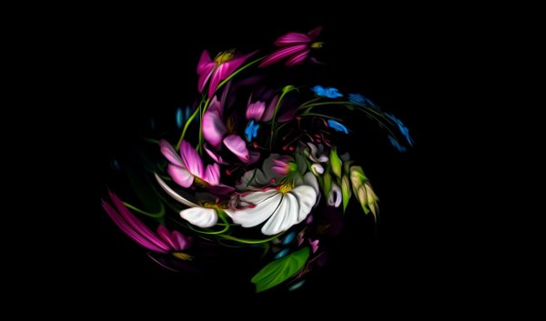 цветок на темном фоне