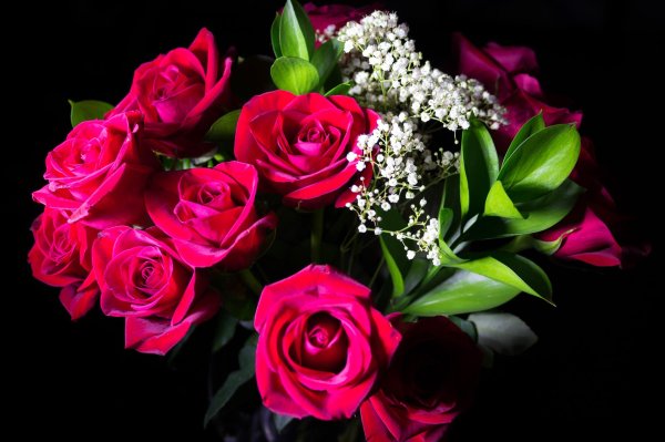 красивые розы букет