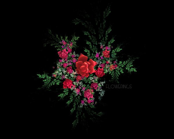 цветы шикарные