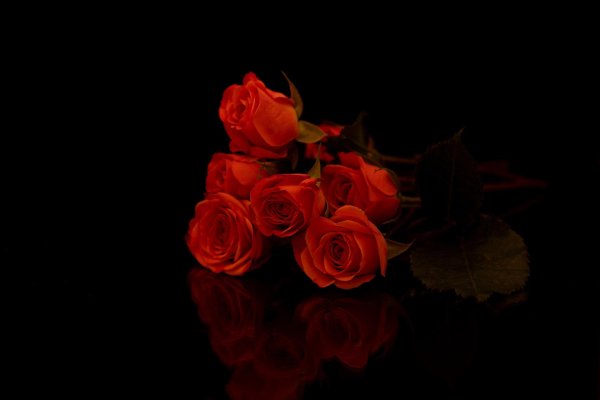 букет красные розы