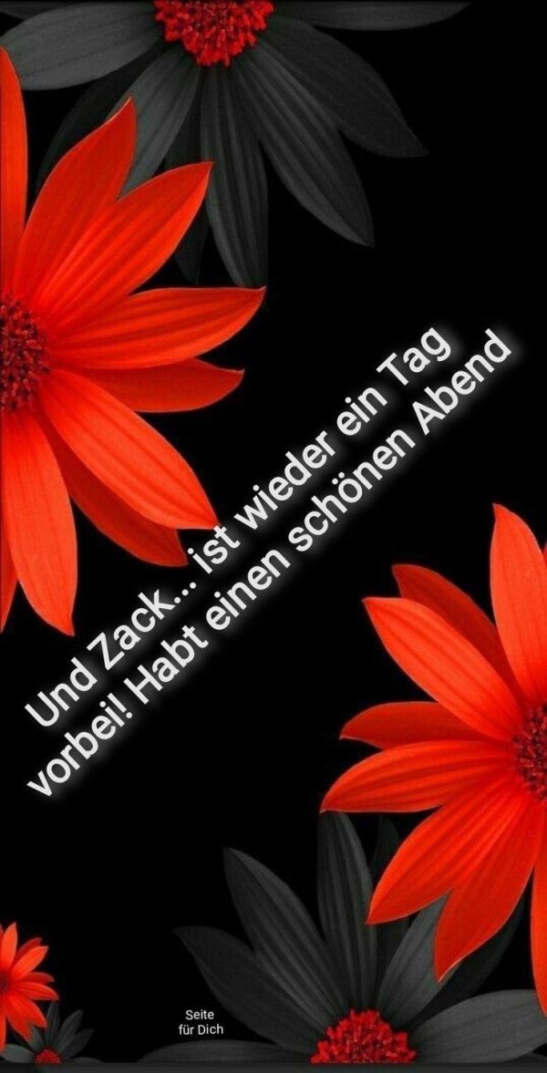 цветок красный