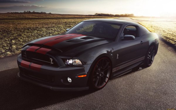 мустанг шелби gt 500