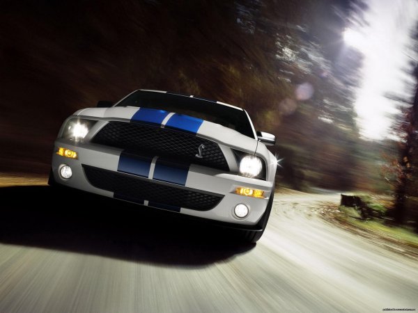shelby cobra gt 500